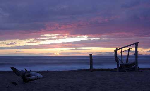 Beach Sunset Photos: purple sunset at Principina a Mare, Maremma