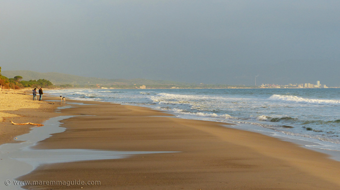 Maremma Dog Beaches In Tuscany Italy Spiagge Per Cani