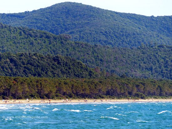 Punta Ala beach